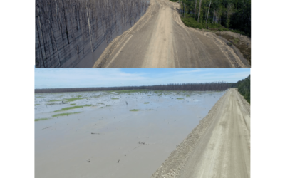 Mimika’s Coastal Dystopia; Besieged by Freeport Indonesia’s Mine Tailings Slurry