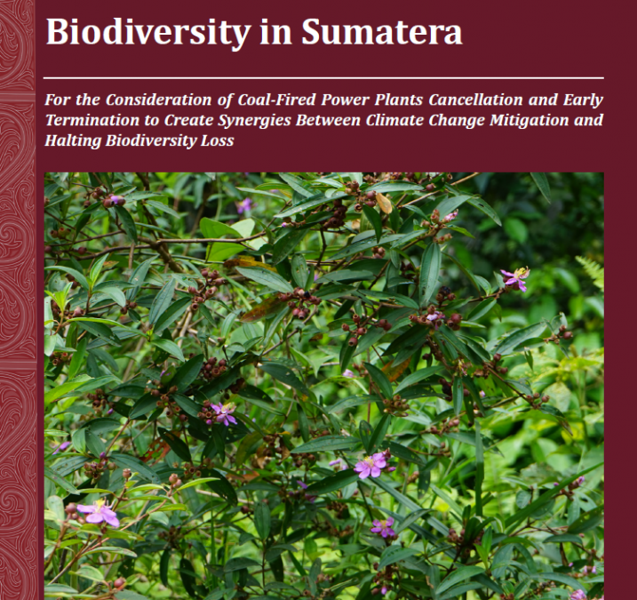 Assessing The Threat of Coal-Fired Power Plants to Biodiversity in Sumatera