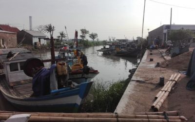 Urging China to Reduce High Greenhouse Gases Emission Project Support in Indonesia